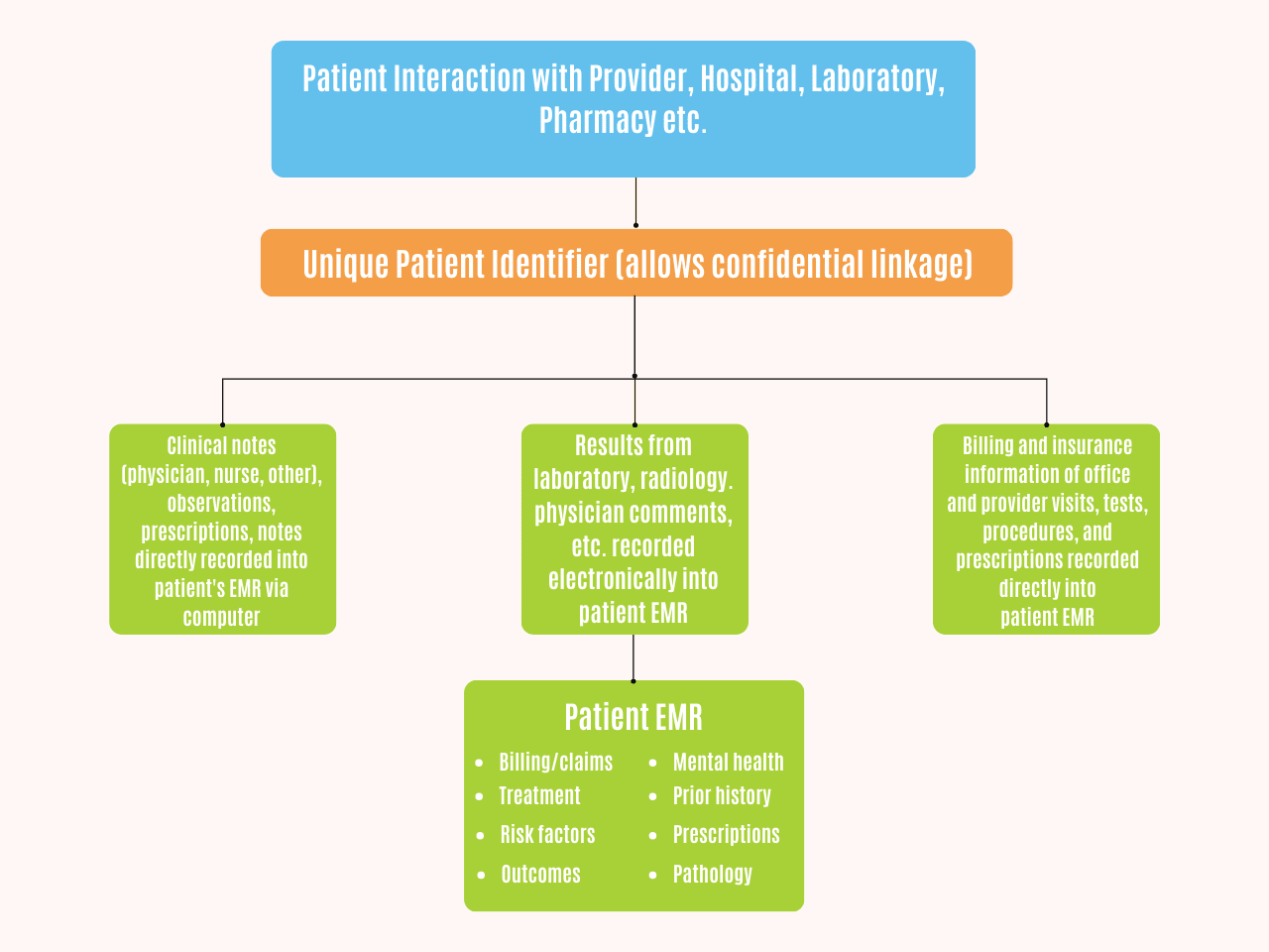 oncology-ohum